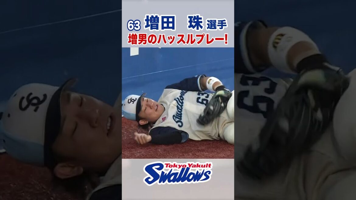 増田珠選手 増男のハッスルプレー！ #swallows #増田珠 #shorts