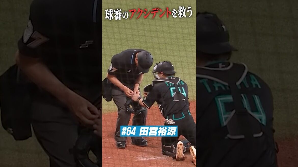 田宮裕涼選手の神対応✨審判のアクシデントを救う #ドミれ #lovefighters