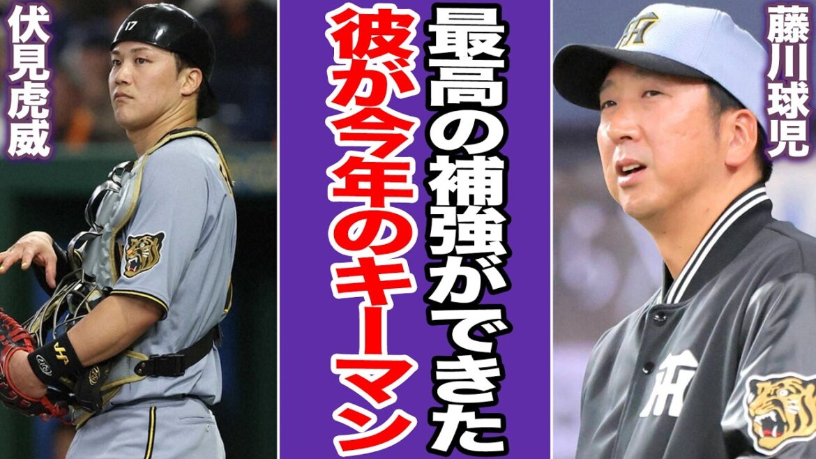 伏見虎威の補強が大成功と賞賛される衝撃の真相…高橋遥人が完投勝利した驚愕の舞台裏、捕手がかわるだけで激変する試合展開に言葉を失う【プロ野球】