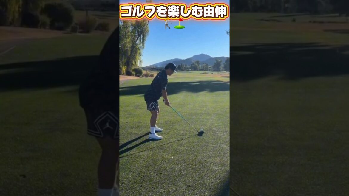 本日の山本由伸ゴルフをする！菅野智之ロッキーズに入団決定！1年7億7000万￼！アストロズ今井達也が侍ジャパンに選ばれる！￼　#looppot楽曲提供  #蝉時雨物語