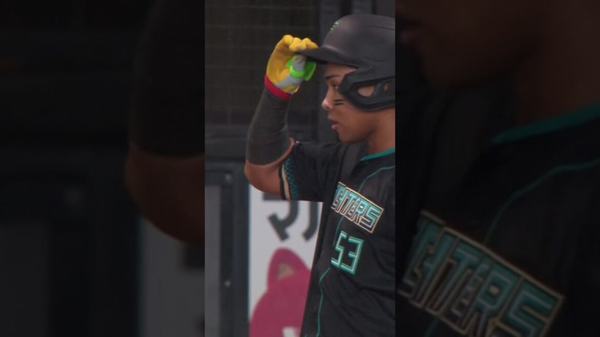 【連敗ストップ！水谷逆転打！伊藤2勝目！】4/18vs.埼玉西武ライオンズ