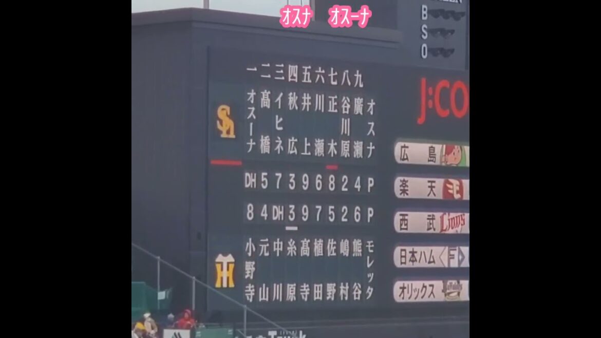 20260307【現地】ｵｽﾅとｵｽｰﾅが同時出場　#shorts@阪神甲子園球場･ﾚﾌﾄ外野 ｵｰﾌﾟﾝ戦