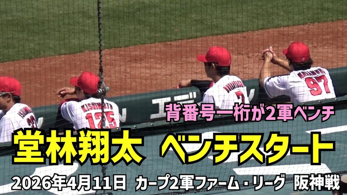 堂林翔太 この試合はベンチスタート。背番号一桁の選手、2軍ベンチには似合わない。　2026年4月11日 カープ2軍ファーム・リーグ vs 阪神