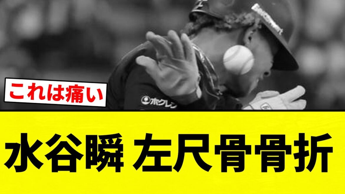 【最悪や】水谷瞬 左尺骨骨折【プロ野球反応集】【2chスレ】【なんG】