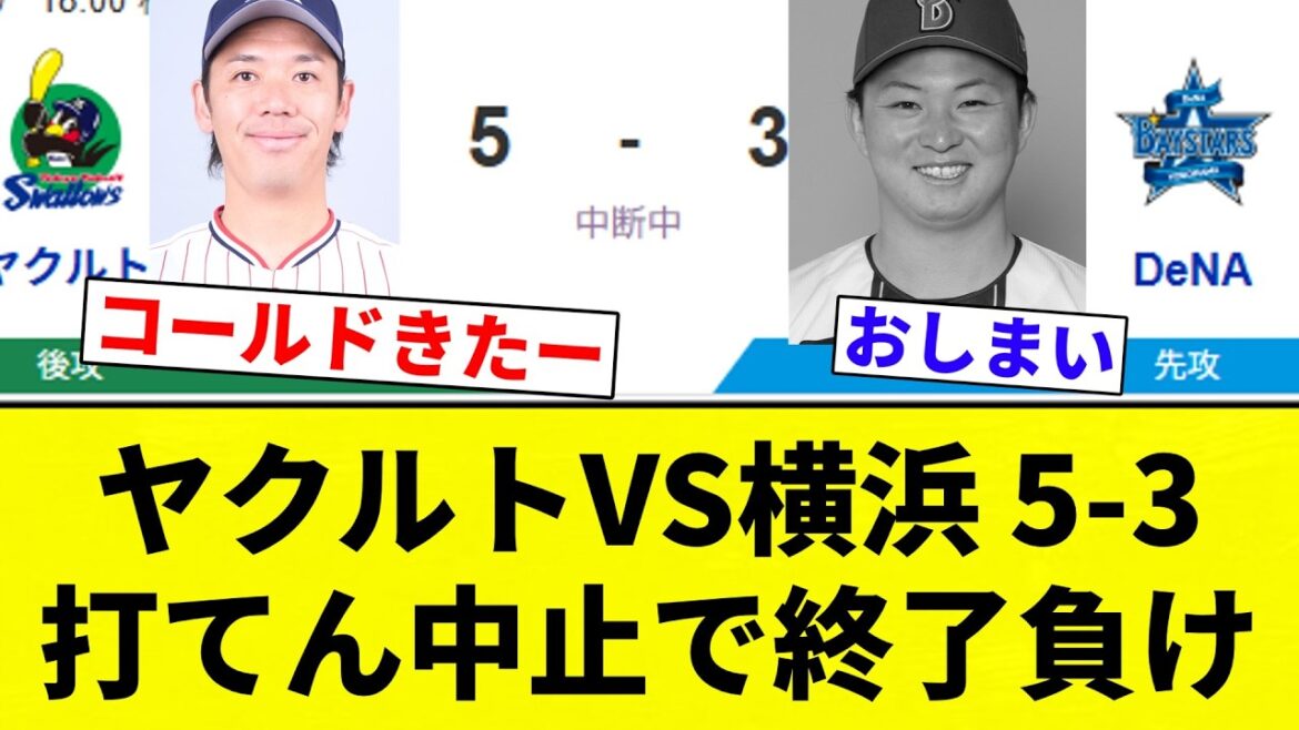 【中止や！】ヤクルトVS横浜 5-3 打てん中止で終了負け【プロ野球反応集】【2chスレ】【なんG】