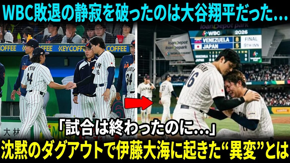 【大谷翔平】侍ジャパン敗退で凍りついたダグアウト…「あの瞬間、動いたのは翔平だけだった」沈黙のベンチで伊藤大海に起きた“異変”とは【海外の反応】