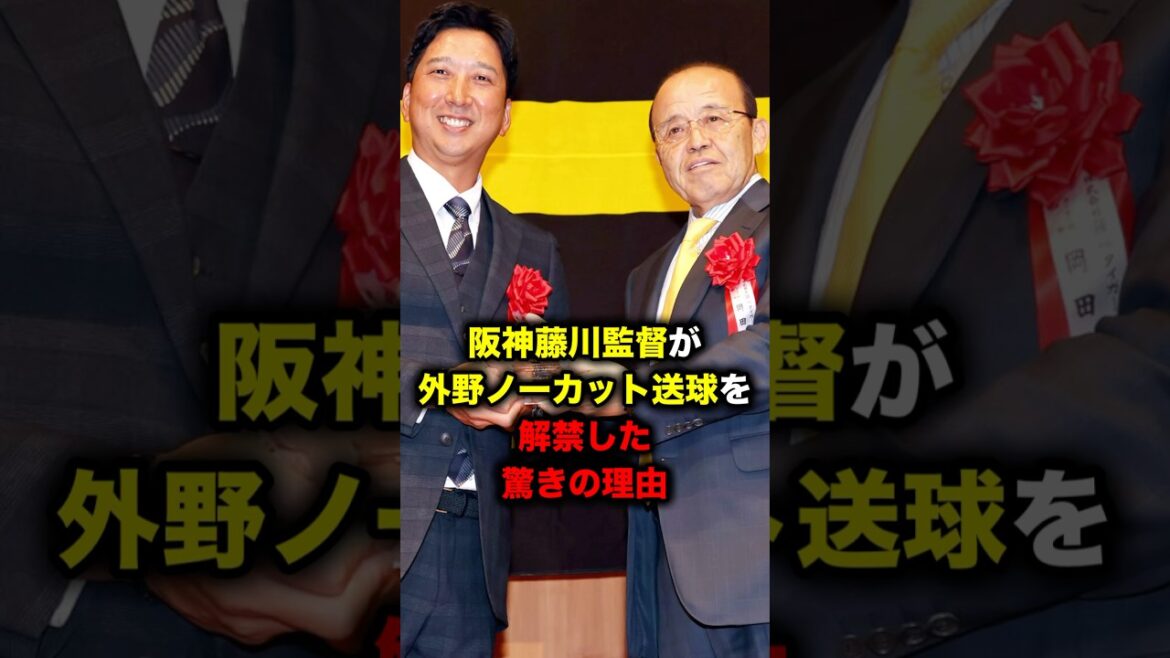 阪神藤川監督が外野ノーカット送球を解禁した驚きの理由