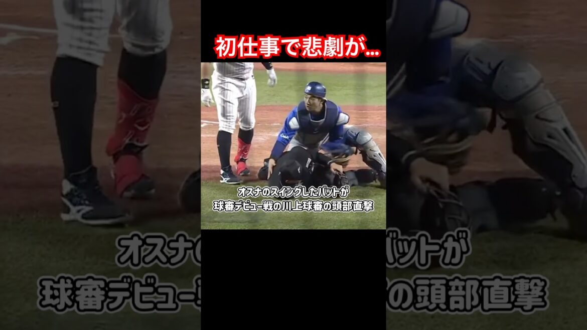 オスナのバットが審判に直撃…初仕事で事故は… #ヤクルトスワローズ #オスナ #川上球審 #shorts
