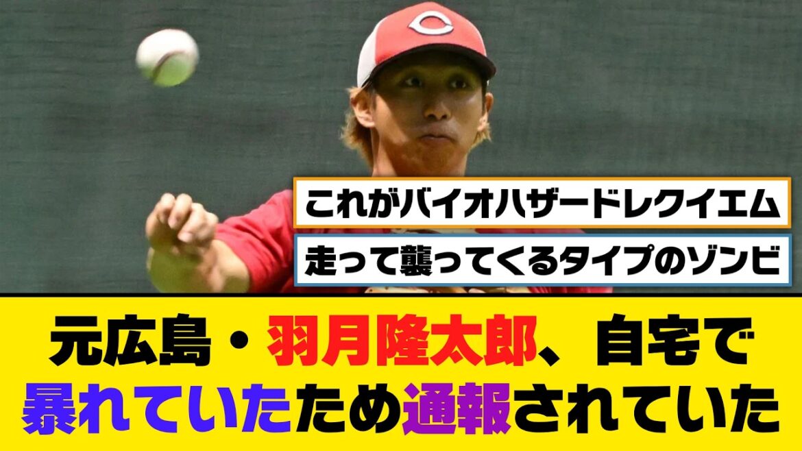 元広島・羽月隆太郎、自宅で暴れていたため通報されていた【5ch/2ch】【なんj/なんg】【反応集】