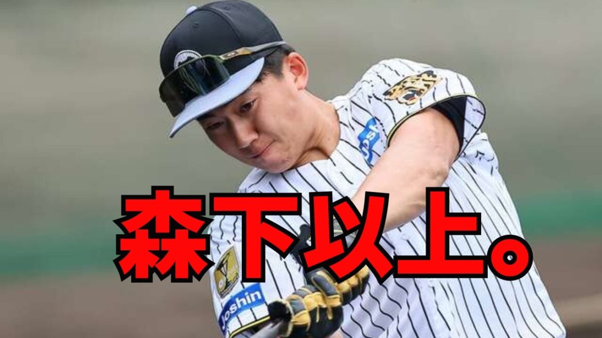 【阪神】秋山拓巳BAが驚愕！ドラ1立石正広は「1年目の森下以上」。エグすぎる背中の筋肉とスイング破壊力の秘密。2026年、猛虎の布陣を破壊する“黄金ルーキー”の正体を徹底解説！