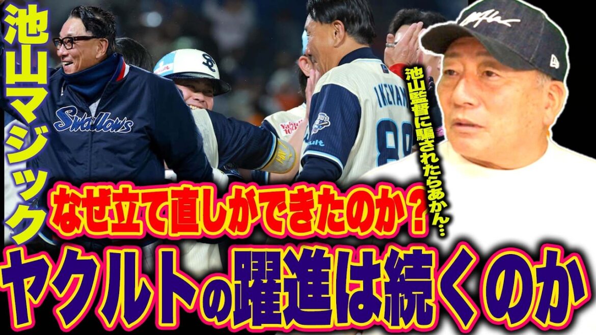 【強さの秘訣】『青木GMの存在も大きい？』池山ヤクルト現在首位！躍進を続ける理由を徹底分析！