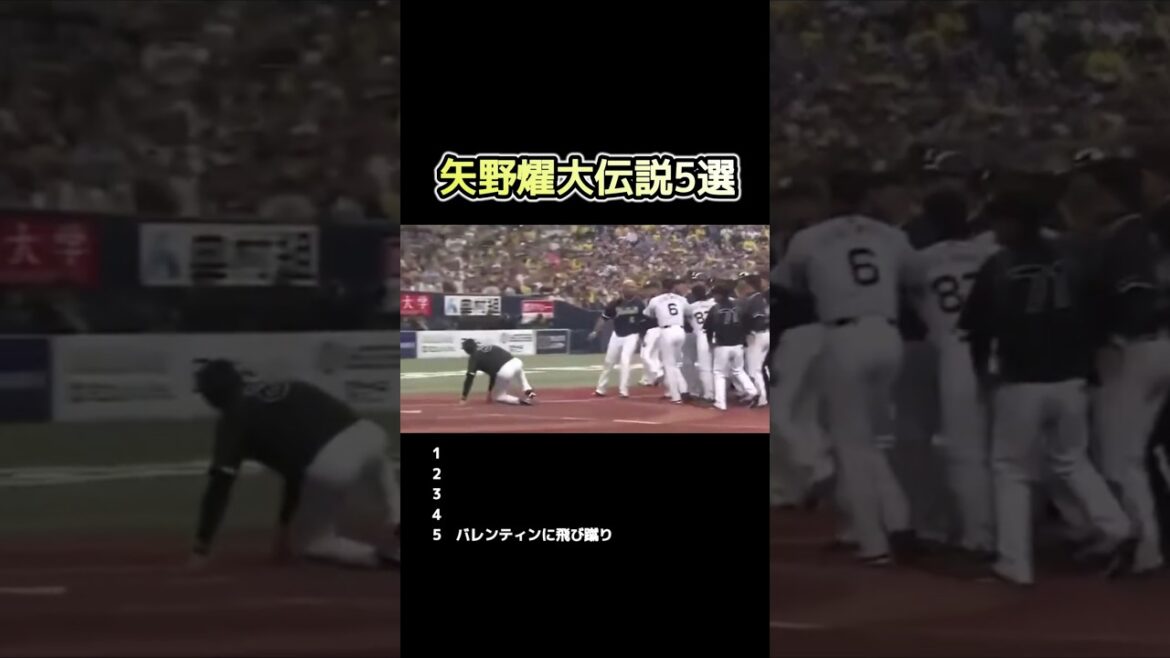 【プロ野球】矢野燿大の伝説5選 #阪神タイガース #プロ野球 #野球 #矢野燿大