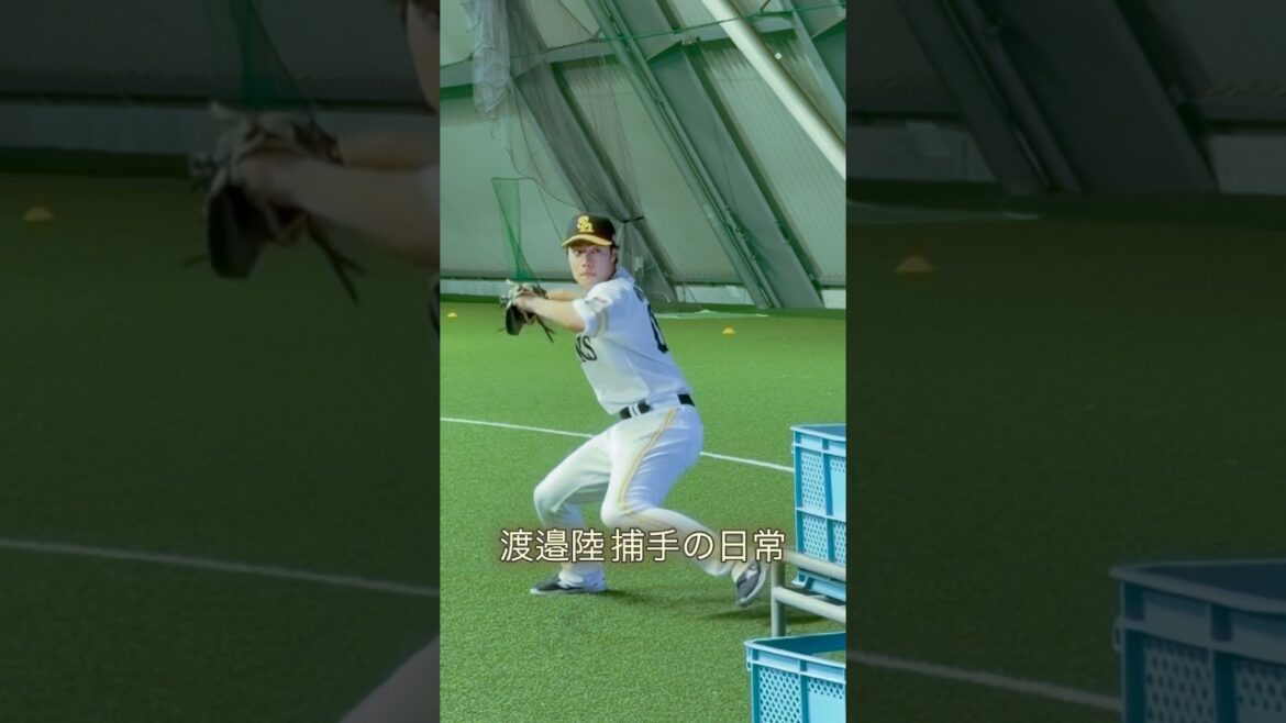 【キャッチャー練習 試合後のルーティン】#福岡ソフトバンクホークス #渡邉陸 #プロ野球 #sbhawks #bambies 【キャッチャー練習 試合後のルーティン】#福岡ソフトバンクホークス #渡邉陸 #プロ野球 #sbhawks #bambies