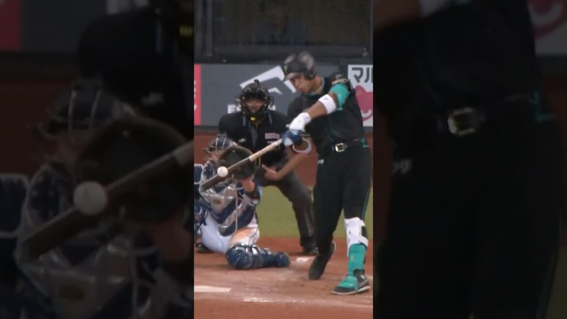4/19のハイライト　万波中正選手のホームランが止まらない⚾ #ドミれ #lovefighters