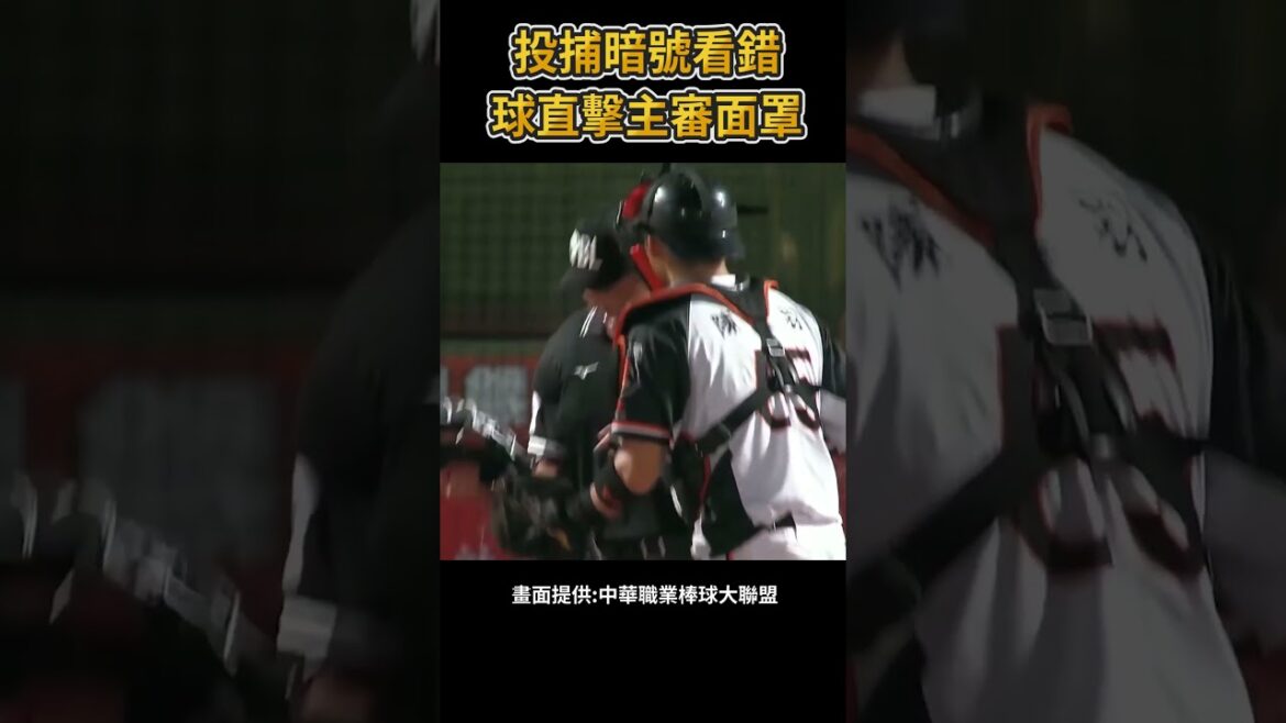 投捕暗號出錯了 球直擊裁判面罩 #棒球 #baseball #mlb #棒球 #cpbl  #中職 #shorts #統一獅 #樂天桃猿 #富邦悍將 #中信兄弟   #味全龍  #台鋼雄鷹