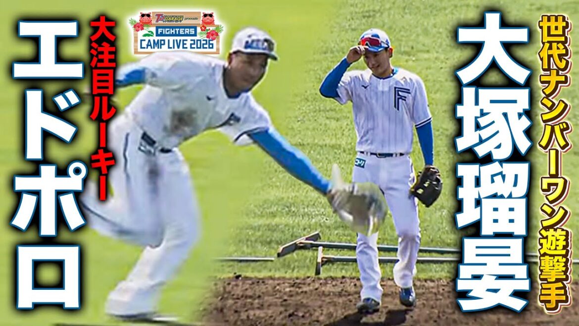 エドポロケイン＆大塚瑠晏の守備練習に密着＜2/3ファイターズ春季キャンプ2026＞