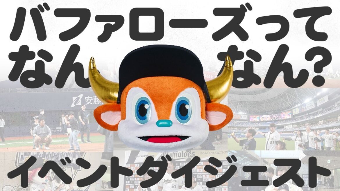 【ダイジェスト】バファローズってなんなん？～バファローズの魅力をもっと知って広めよう！～