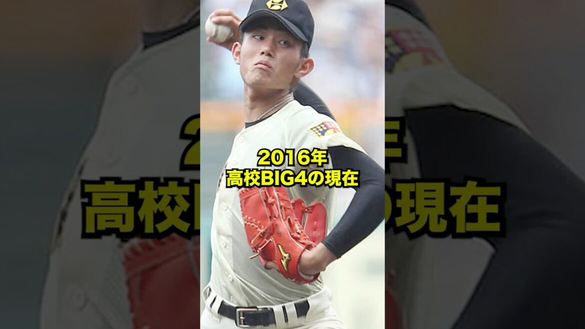 2016年高校BIG4の現在#プロ野球 #野球 #shorts