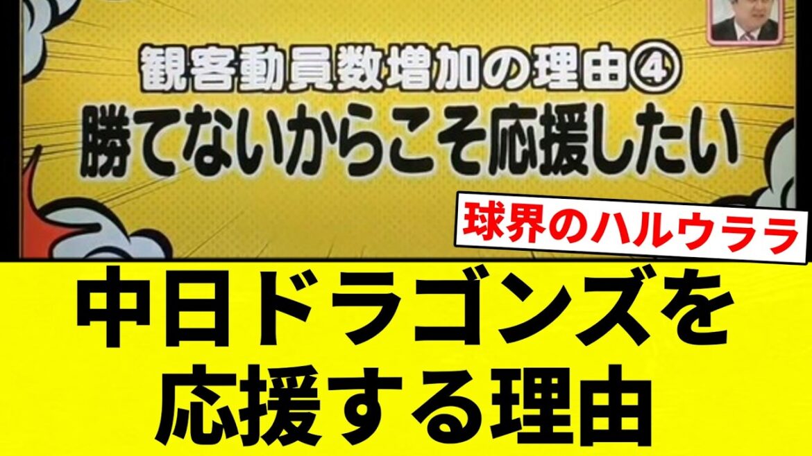 【理由】中日ドラゴンズを応援する理由【プロ野球反応集】【2chスレ】【なんG】