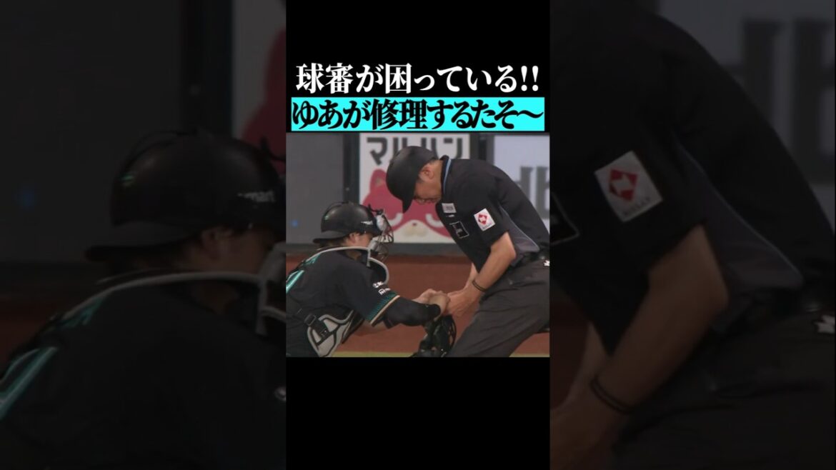 【なんでもできる】田宮裕涼、マスクを補強する『補手』になる #shorts
