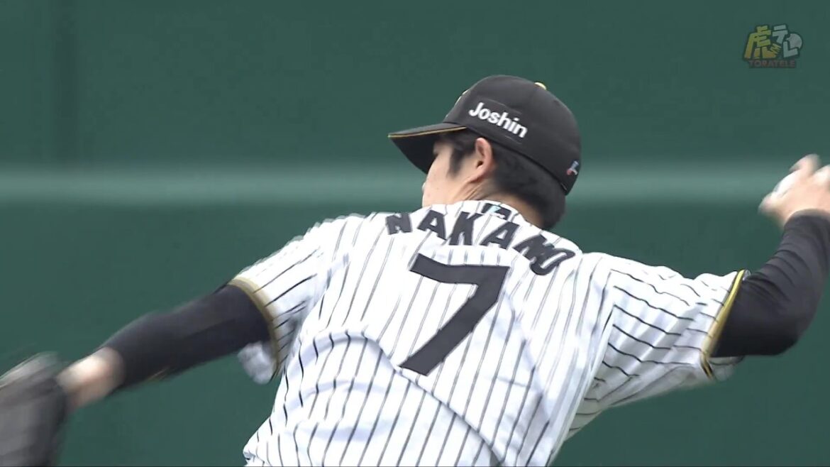 【魅せる】6回表、#中野拓夢 選手がファインプレー！ヒット性の当たりをダイビングキャッチ！セカンドライナー！【2026/4/26 Ｔ－Ｃ】