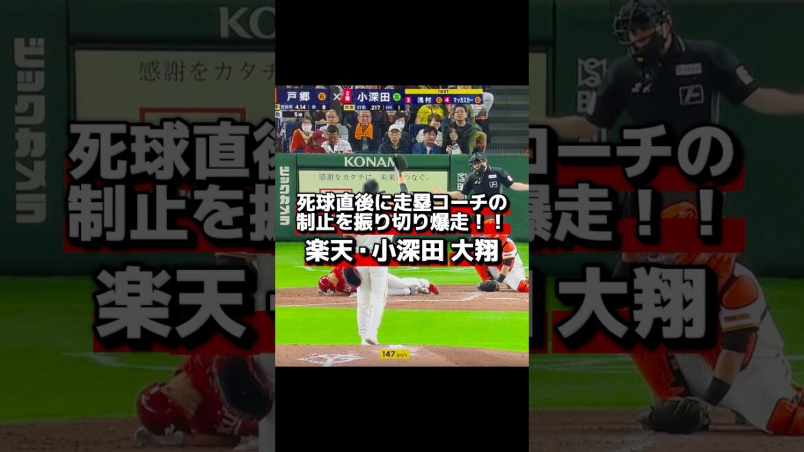気迫の激走‼️