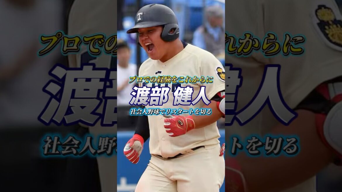 【プロでの経験をこれからに】社会人野球でリスタートを切る 渡部健人 #渡部健人 #埼玉西武ライオンズ #野球 #baseball #プロ野球 #ホームラン #桐蔭横浜大学