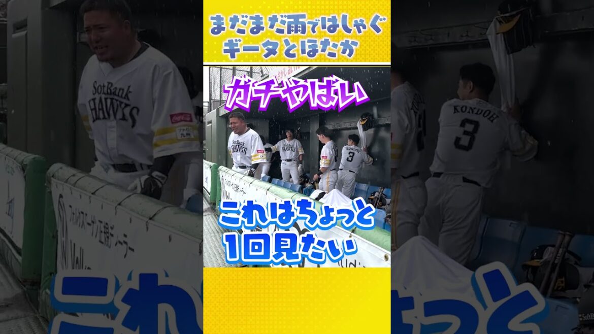 雨ではしゃぐ選手たち #柳田悠岐 #山川穂高 #近藤健介 #sbhawks 来年こそは晴天で勝利を！雨の中熱い応援ありがとうございました