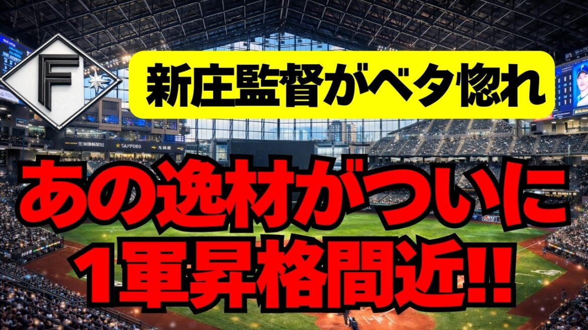 【日ハム】新庄監督がベタ惚れした、あの逸材がついに昇格間近！