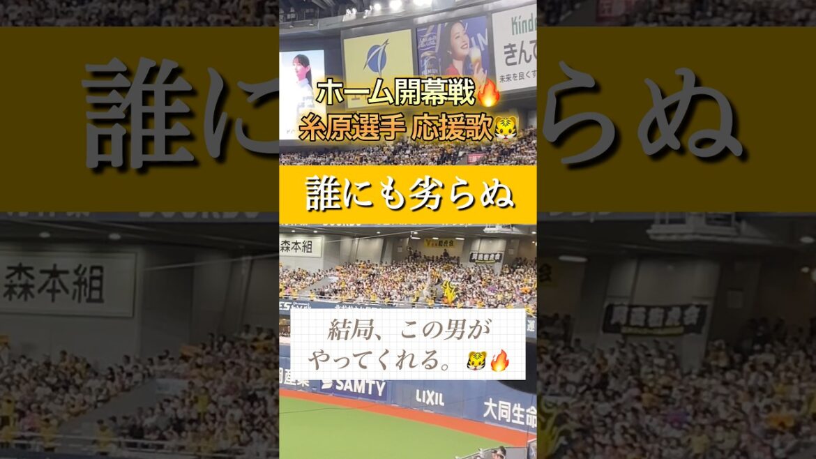 【ホーム開幕】京セラドームが震える！糸原健斗の応援歌に込められた「期待感」がヤバすぎる🐯🔥 #阪神タイガース #糸原健斗 #応援歌 #京セラドーム #チャンテ #shorts #推し活 #npb