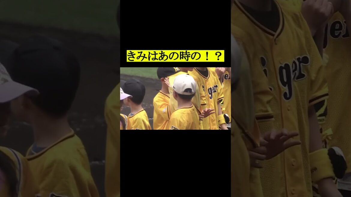 なんか見たことある少年おった #阪神タイガース #プロ野球 #野球