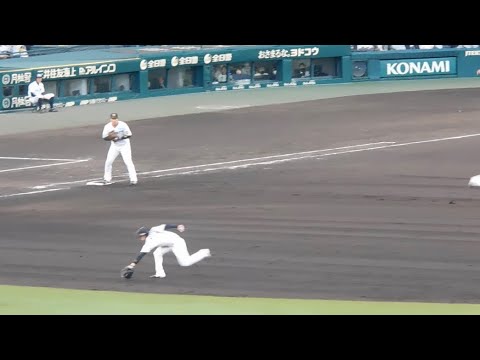 【残念そこは中野】中野拓夢 驚愕の守備範囲でヒットをもぎ取ってアウトに ファインプレーで相手のチャンスの根を摘む 【残念そこは中野】中野拓夢 驚愕の守備範囲でヒットをもぎ取ってアウトに ファインプレーで相手のチャンスの根を摘む