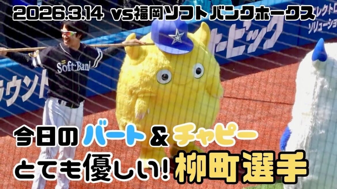 【優しい世界】柳町達選手と遊ぶチャピー＆バート(2026.3.14/横浜スタジアム）