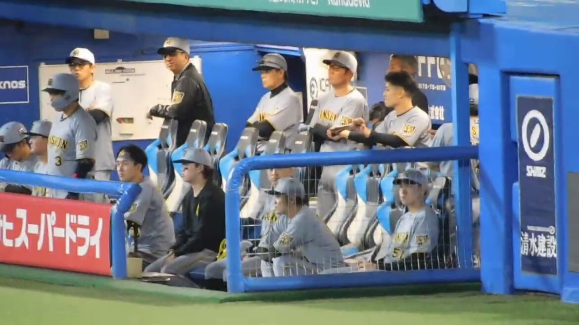 【初披露】阪神 植田海 新応援歌 森下の代打で登場