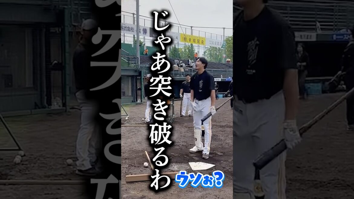 ネットを突き破ろうとする怪物 #柳田悠岐 #sbhawks #全新