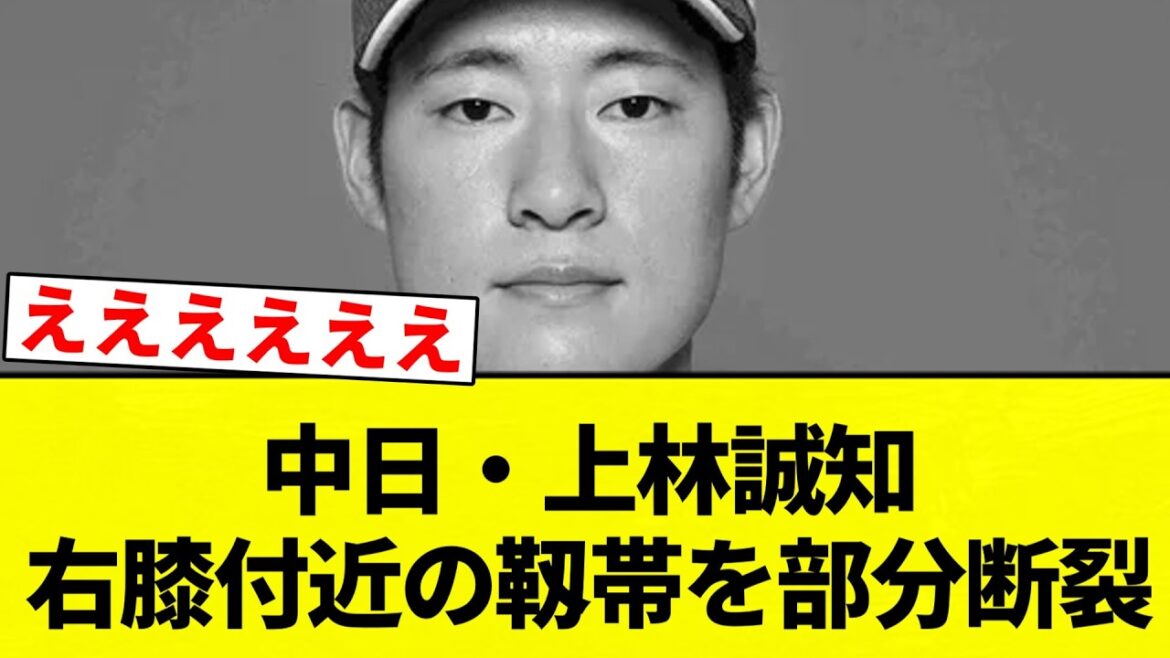 【最悪や】中日・上林誠知 右膝付近の靱帯を部分断裂【プロ野球反応集】【2chスレ】【なんG】
