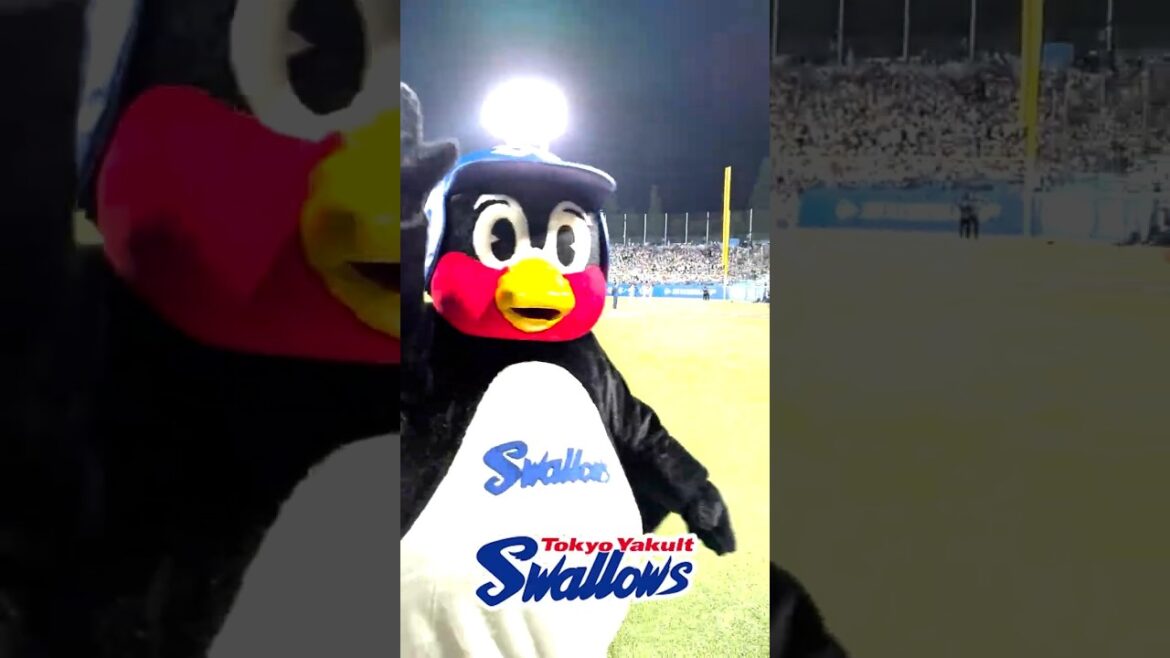 勝利後のハイタッチ #swallows #shorts