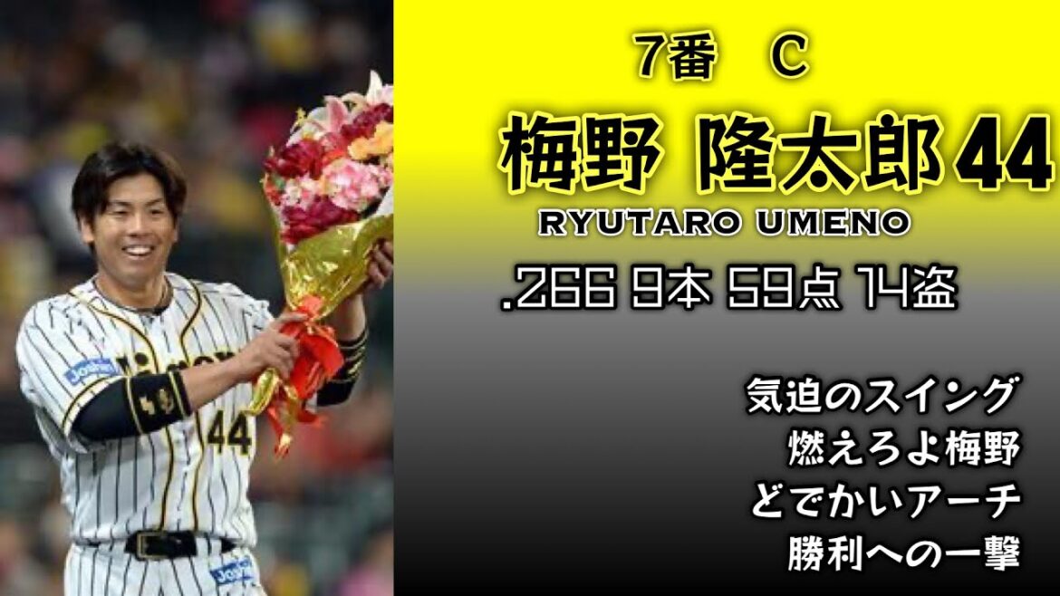 2019年 阪神タイガース 1-9+α