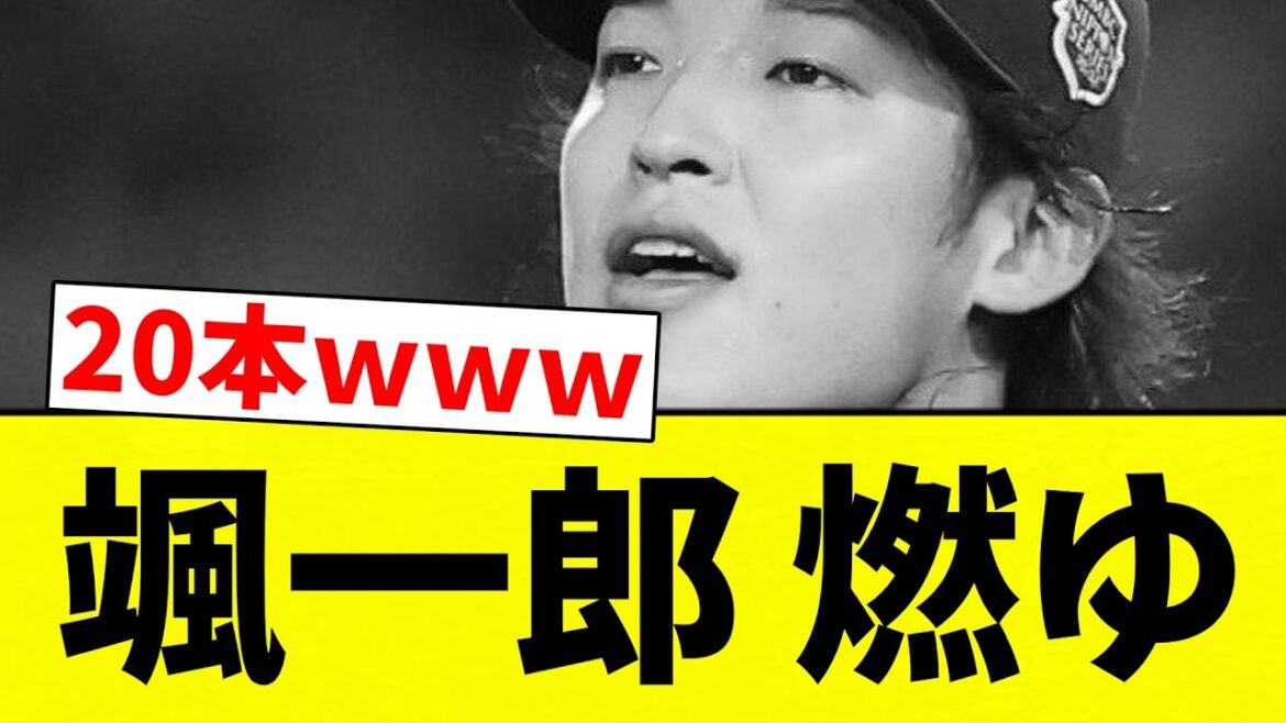 【もえたああ】颯一郎 燃ゆ【プロ野球反応集】【2chスレ】【なんG】
