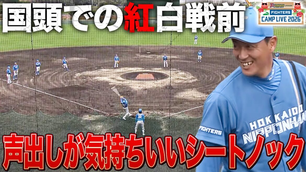 【ファイターズ】国頭紅白戦前の声が出ていて気持ちいいノック＜2/2ファイターズ春季キャンプ2026＞