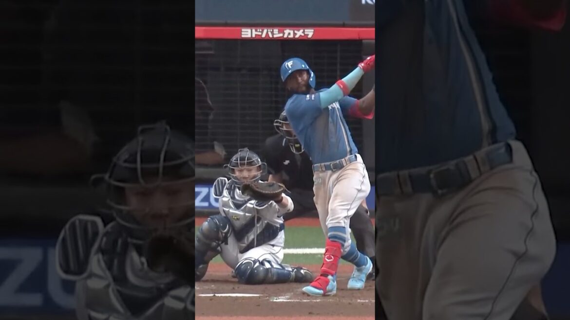 【カストロが決めた‼】連敗を止める勝ち越しホームラン！#ドミれ #lovefighters