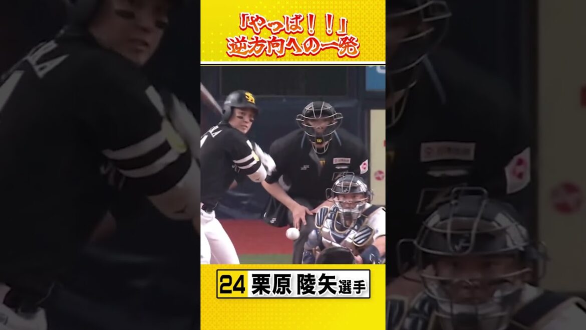 チームメイトも驚きの逆方向への1発 #sbhawks #全新 #栗原陵矢