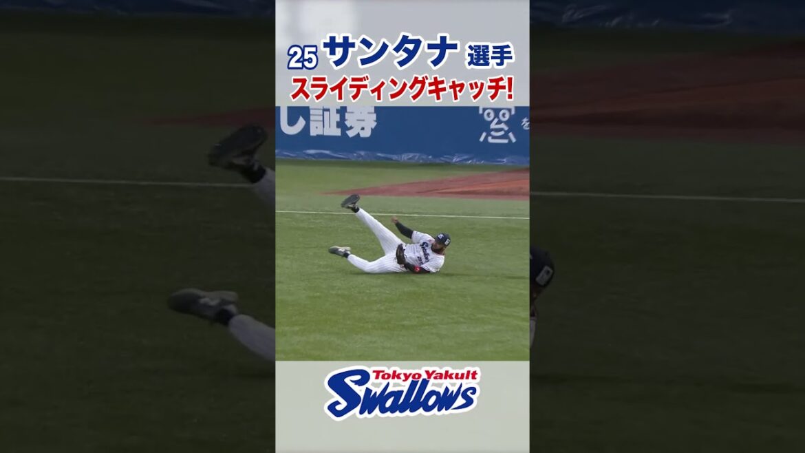 サンタナ選手 スライディングキャッチ！ #swallows #サンタナ #shorts