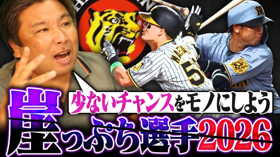 【阪神崖っぷち選手】阪神石井の離脱で今季が勝負になる選手とは⁉︎前川はレギュラーをしっかり掴み取れるのか‼︎【阪神編】