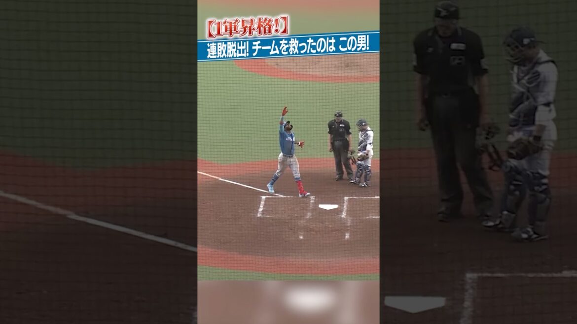 カストロ選手の大活躍で連敗脱出🔥#ドミれ #lovefighters