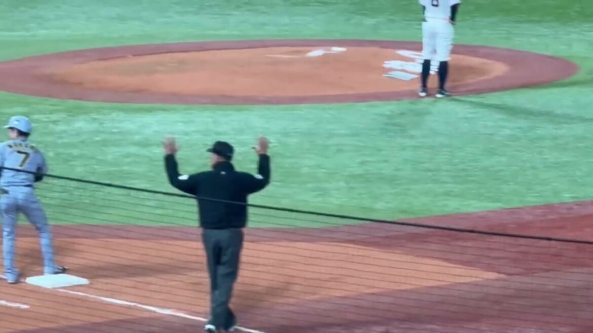 熊谷と中野のタイムリーで盛り上がる阪神ベンチ！