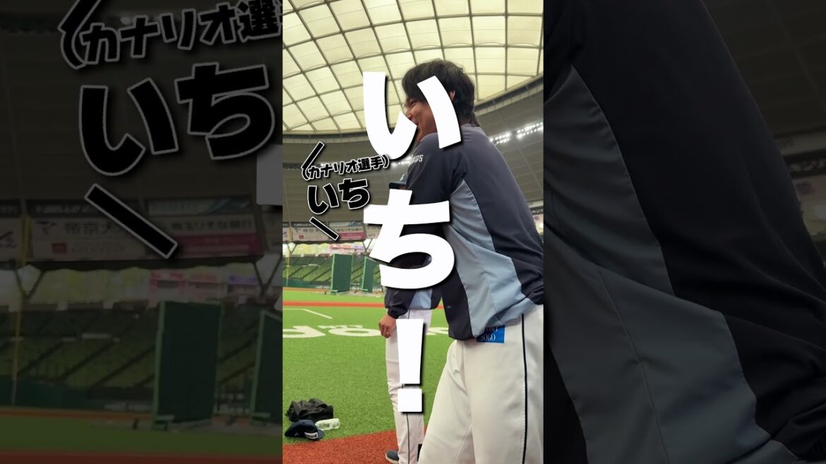 【日本語ムズカシイネ】#カナリオ 選手は似た発音の名前を覚えるのに大混乱