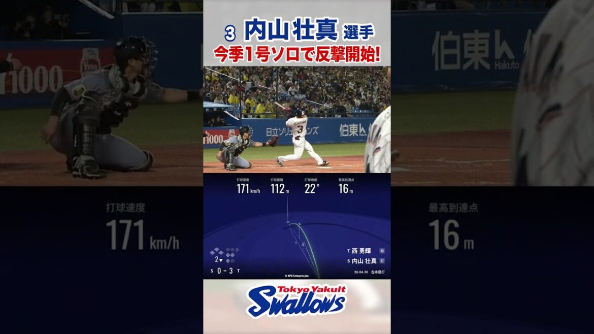 内山壮真選手 今季1号ソロで反撃開始！ #swallows #内山壮真 #shorts