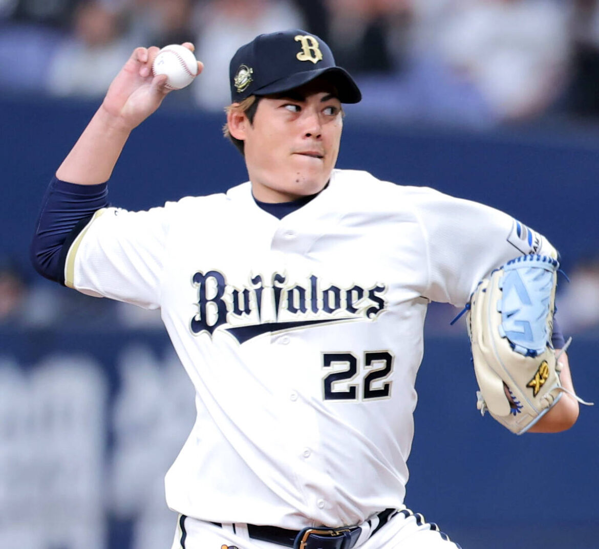 Orix Buffaloes