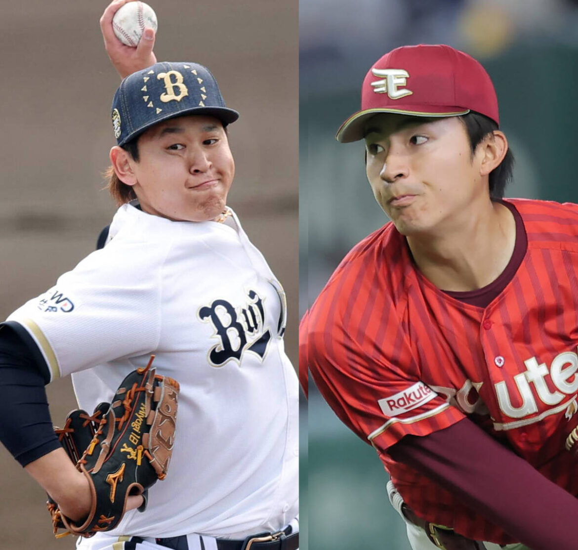 Orix Buffaloes